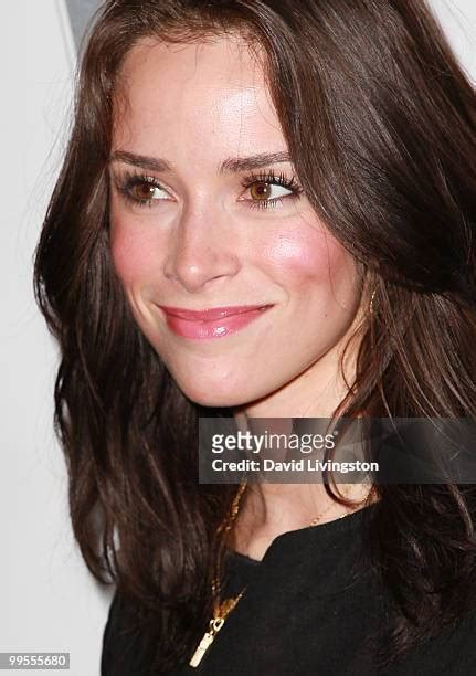 abigail spencer bikini pics|4,231 Abigail Spencer Actress Stock Photos and High。